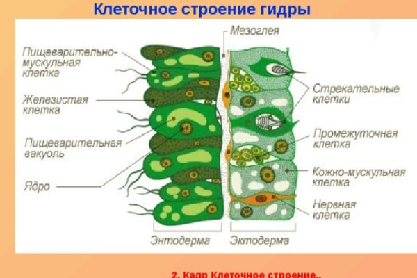 Кракен ссылка 2web krakendark link