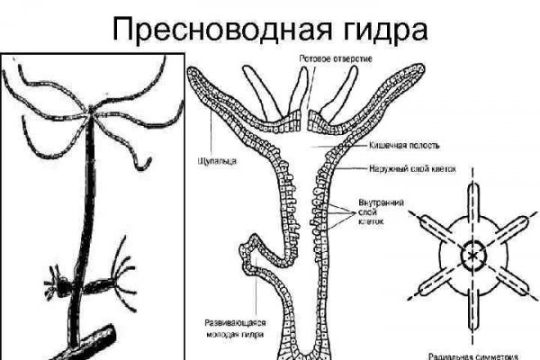 Kraken официальные зеркала