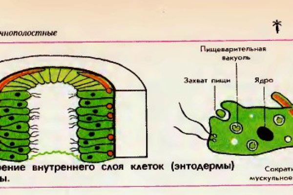 Кракен маркетплейс купить порошок