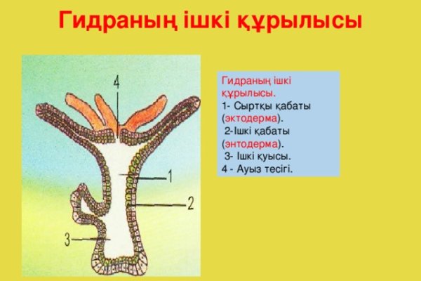 Как зайти на кракен без тора